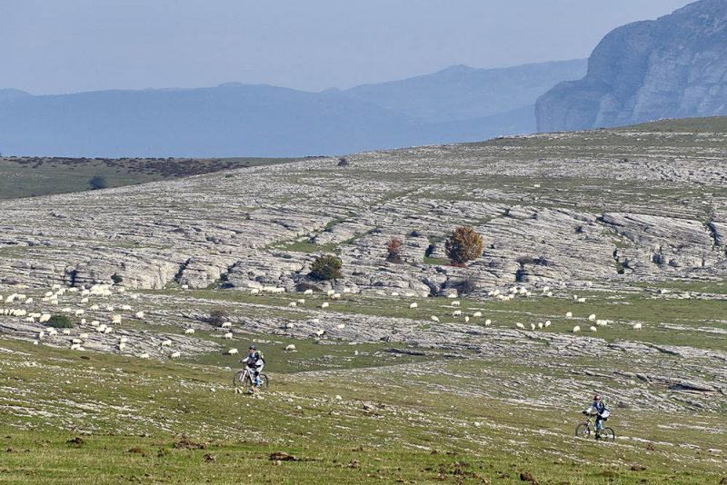 CUATRO ZONAS, UN SOLO PARQUE - Parque Natural de Urbasa y Andía | WEB ...