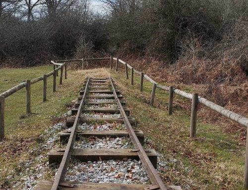 Paseos interpretativos guiados por Morterutxo en un recorrido accesible